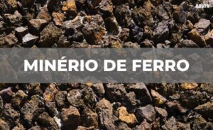 Visão do Mercado - 22/11/23